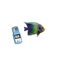 Máy đo độ mặn