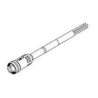 Power Cords