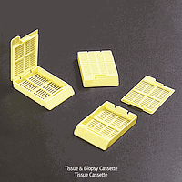 Hộp đựng mô (Cassettes)