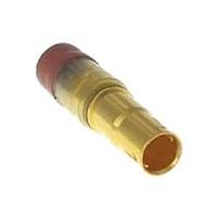 Đầu nối mô-đun / Ethernet